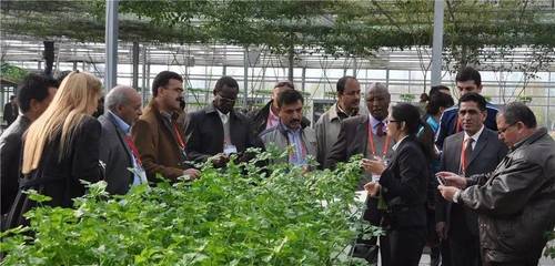 楊凌還是唯一的嗎?