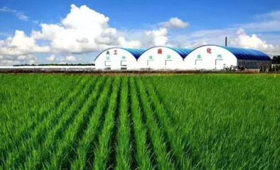 規避傳統農業痛點,山東這列農業高鐵馬上發車了,不容錯過!