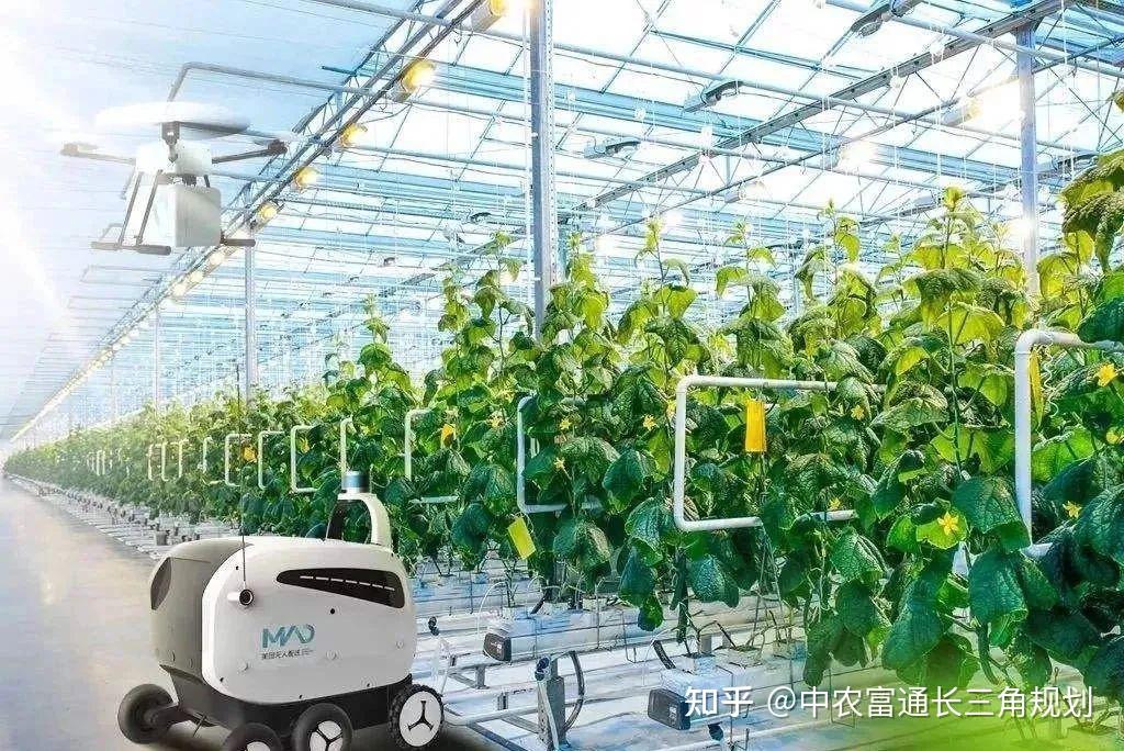 深度解讀!我國智慧農業發展總體戰略構想 - 