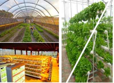 長寧這家企業在江蘇&ldquo;最美鄉村&rdquo;打造養老基地!