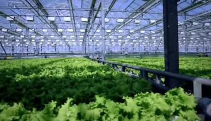 三農(nóng)日報(bào)|政策:推動(dòng)農(nóng)民合作社辦公司;專家:農(nóng)業(yè)科技利好農(nóng)業(yè)品牌產(chǎn)業(yè)化;資本下鄉(xiāng)陷入"產(chǎn)業(yè)懸浮"困境;百果園:又啟動(dòng)上市計(jì)劃