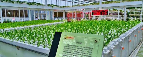 強(qiáng)化農(nóng)業(yè)科技創(chuàng)新與應(yīng)用的內(nèi)容,需實(shí)施現(xiàn)代種業(yè)科技支撐等行動(dòng)