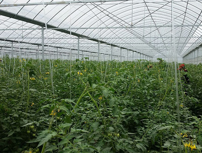 安徽生態農業公司-蕪湖海川生態農業科技-安徽生態農業