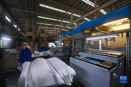 浙江嘉興 數字化車間 助力制造業高質量發展