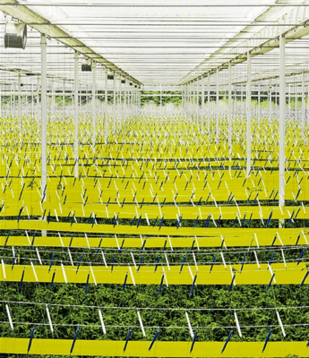 五問浙江鄉村振興 今年浙江"三農"最重磅文件有什么特別