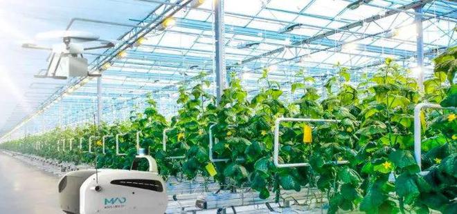 【農業科技】數字農業:引爆農業高質量發展(附3大切入點)|水稻|農產品