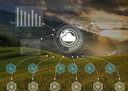 赫章松林坡鄉:年產蔬菜3萬余噸 多元化種植助力產業振興