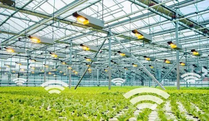 【農業科技】現代農業新發展 - 智慧農場