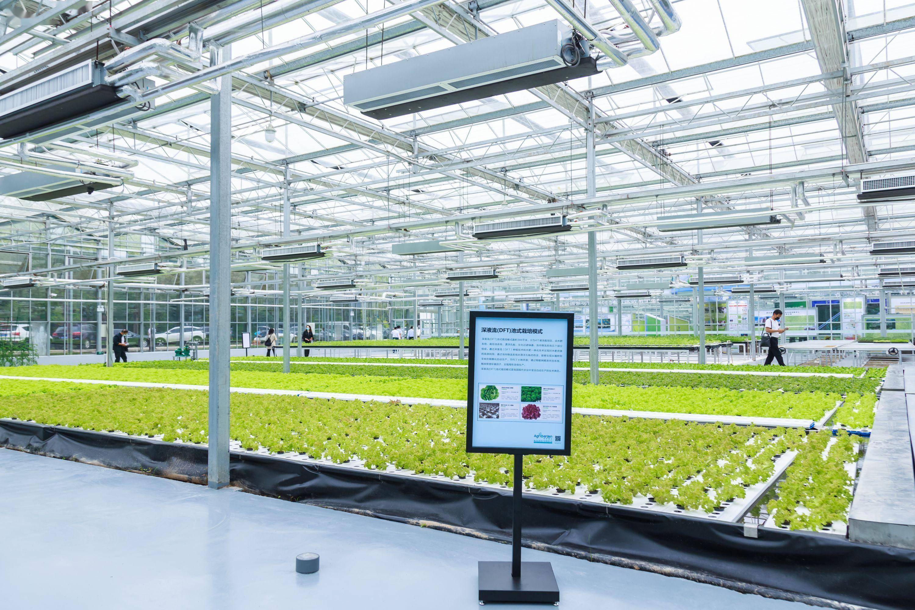 2023武漢種博會 科技賦能種業，靜待農業花開