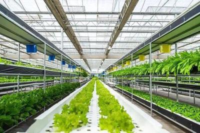 中國數字農業四大難題與容業科技的突破路徑