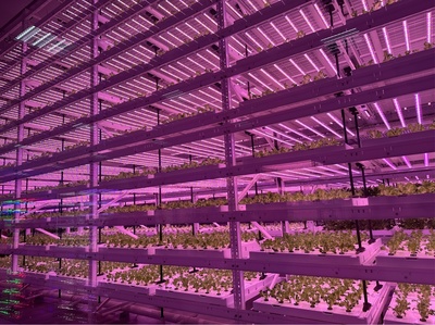 農業裝上“智慧腦”，楊凌亮出“科技范”——高質量發展調研行·陜西站 容業科技