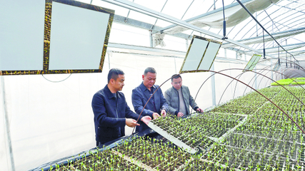 湘潭農(nóng)業(yè)插上“科技翅膀” 容業(yè)科技引領(lǐng)產(chǎn)業(yè)新變革